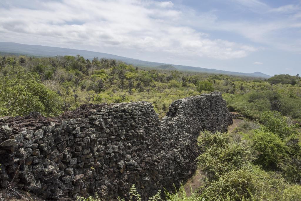 Paraiso De Isabela ปวยร์โต วิลยามิล ภายนอก รูปภาพ
