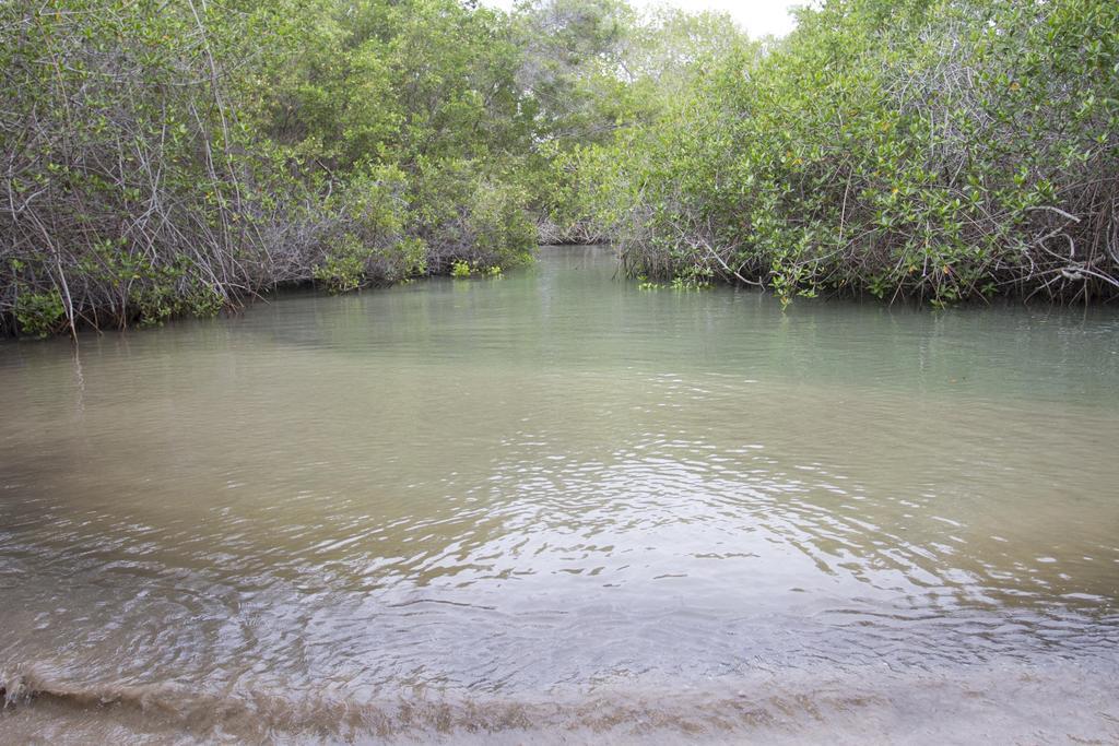 Paraiso De Isabela ปวยร์โต วิลยามิล ภายนอก รูปภาพ