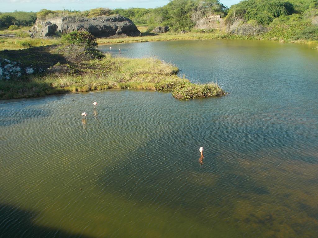 Paraiso De Isabela ปวยร์โต วิลยามิล ภายนอก รูปภาพ